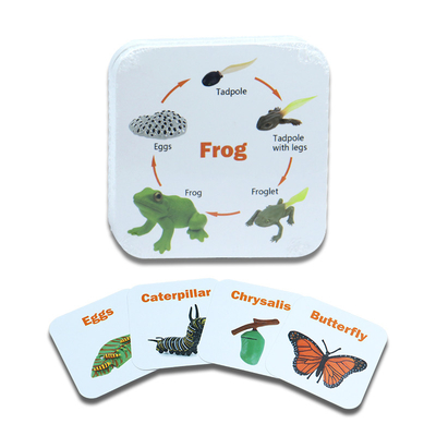 kopen Aangepaste dierlijke insecten flashcards voor educatieve spelletjes voor kinderen in verschillende ontwerpen online manufacture